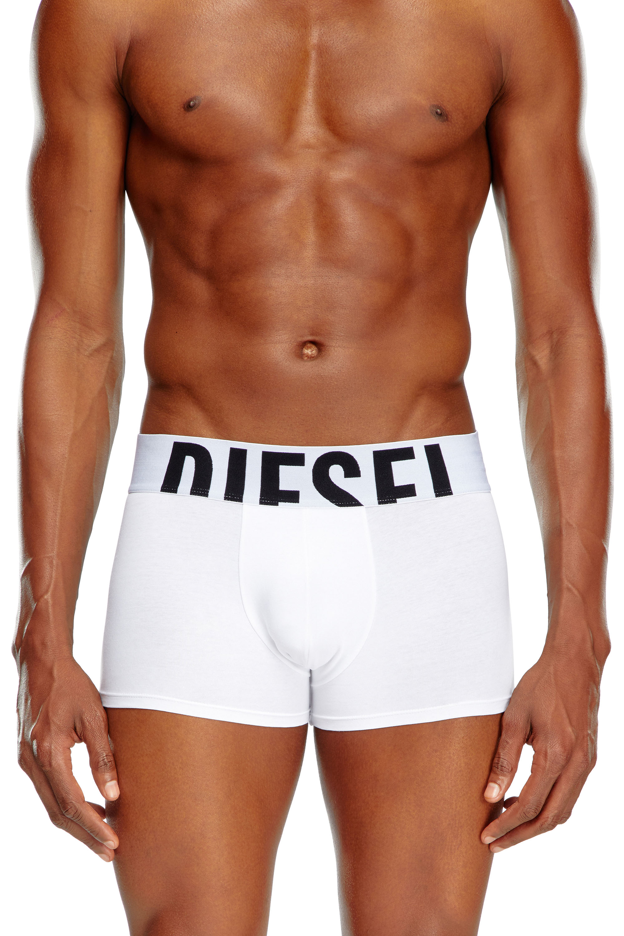 Diesel - UMBX-DAMIENTHREEPACK-5.5EL, Man's Three-pack boxer briefs in stretch cotton in Black/White - 3